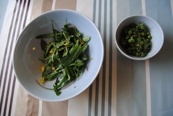 Salaten av løvetann og engsyre skal blandes ut med annen salat eller kinakål før den settes på bordet. Det er en fordel, ettersom det blir litt for mye smak alene. 